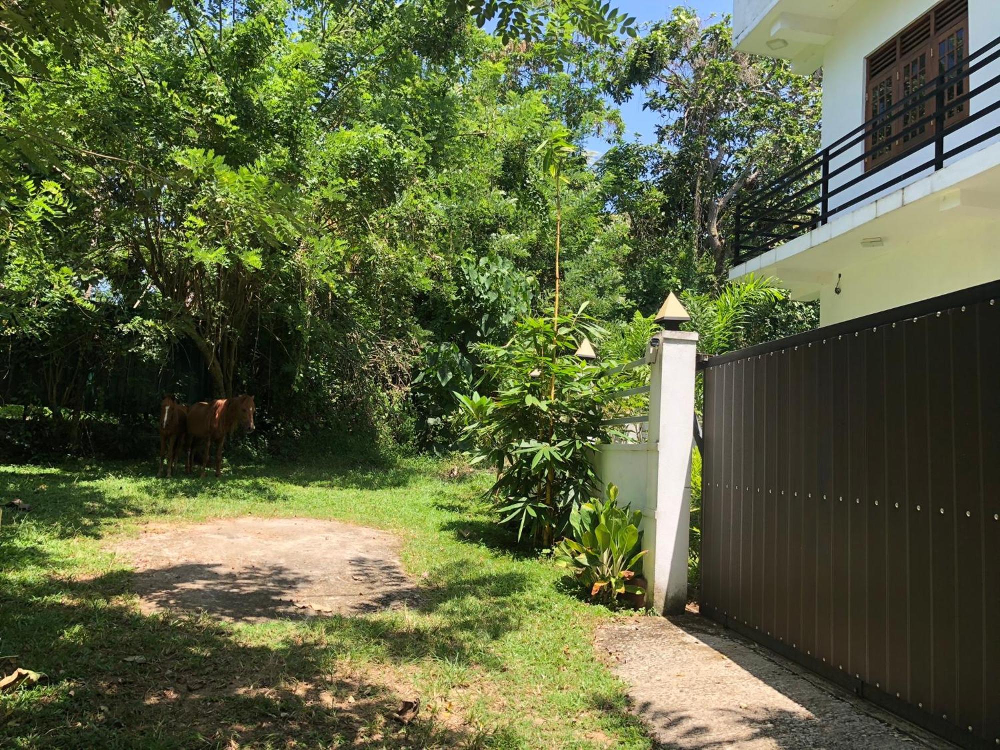 Lanka Villa มิริสซา ภายนอก รูปภาพ